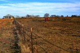 THE FENCE LINE
