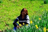 AMONGST THE DAFFODILS