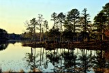 LATE AFTERNOON AT THE LAKE