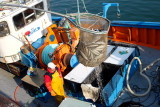 Retour de pêche à Concarneau
