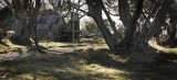 Wallace Hut