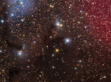The Camas Lilies Nebula - IC447 (IC2169, LBN903), IC446 (IC2167, LBN898), NGC2245 (LBN904), NGC2247 (LBN901) in Monoceros