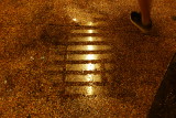 21 january P1160360.JPG