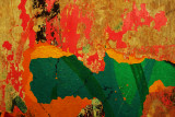 8 february P1160317a.jpg