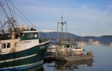 View from the Dock