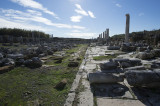 Perge december 2012 7251.jpg