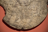 Antalya museum december 2012 6794.jpg