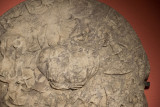 Antalya museum december 2012 6797.jpg