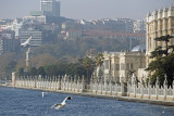 Istanbul december 2012 6183.jpg