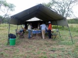 The mess tent service area