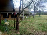 Our tented cabins