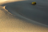 Mesquite_flat_Dunes.JPG