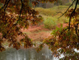 DS2_4387.jpg