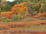 DS2_4391.jpg