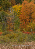 DS2_4394.jpg