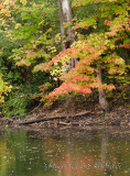 DS2_4401.jpg