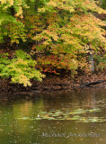 DS2_4402.jpg