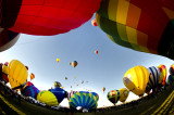 Albuquerque Hot Air Balloon Fiesta