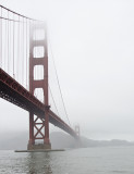 The Bridge