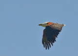 Stanley Camp - Okavango Delta - Botswana - ADS_7963.jpg