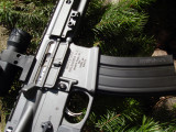DSC03785.JPG