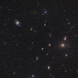 Fornax Galaxy Cluster