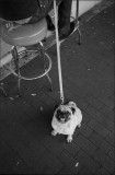 HP5-87-09pr1sm.jpg