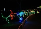 Moody Gardens Festival of Lights