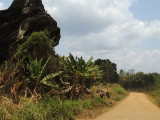 Tanzania 223.jpg