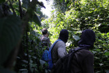 Trecking to Mountain Gorillas