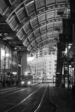 CRW_9920bw.jpg