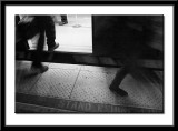 CRW_1062.jpg