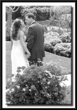 IMG_3547.jpg