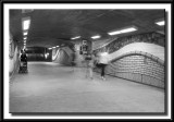 CRW_4367.jpg