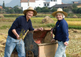 Rice Harvesters