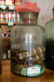 Snake in a bottle