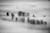 Prints