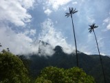 Valle de Cocora hike