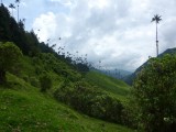 Valle de Cocora hike