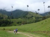 Valle de Cocora hike