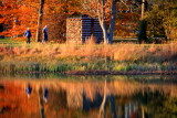 Morton Arboretum, Lisle, IL - fall colors 2012