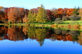 Morton Arboretum, Lisle, IL - fall colors 2012 - Lake Marmo