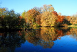 Morton Arboretum, Lisle, IL - fall colors 2012 - Lake Marmo