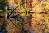 Morton Arboretum, Lisle, IL - fall colors 2012 - Lake Marmo