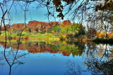 Morton Arboretum, Lisle, IL - fall colors 2012 - Lake Marmo