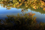 Morton Arboretum, Lisle, IL - fall colors 2012 - Lake Marmo