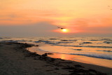 Fort Kochi Beach, Sunset, Fort Kochi, Kerala