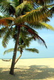 Hammock time, Coconut trees, Marari beach, Mararikulam, Kerala