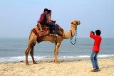 Camel ride photographer, Alappuzha beach, Alappuzha, Kerala
