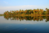 Vayalar Kayal, backwaters, Kerala